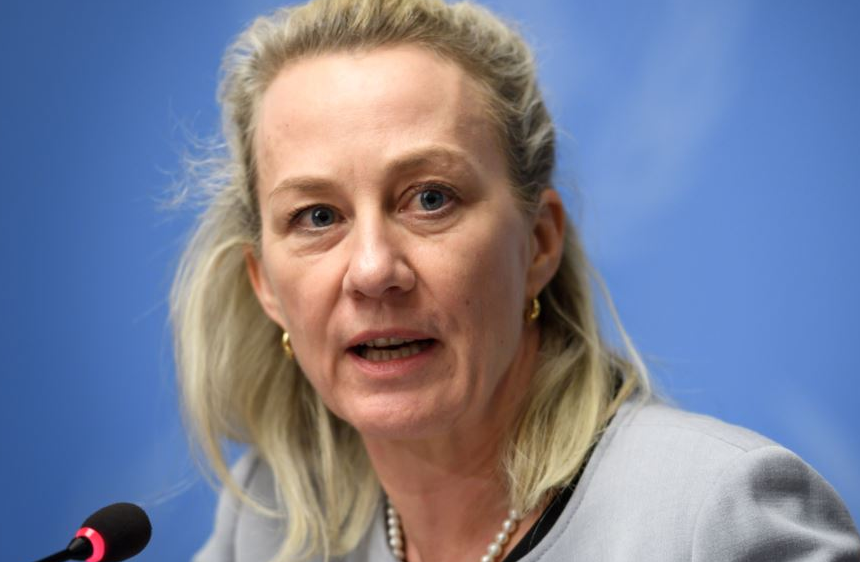 Alice Wells Kashmir